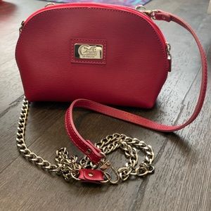 Collins pink leather crossbody clutch